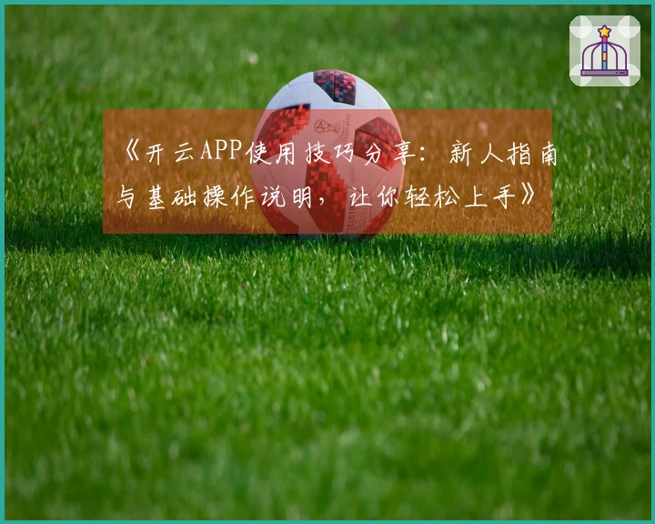 《开云APP使用技巧分享：新人指南与基础操作说明，让你轻松上手》